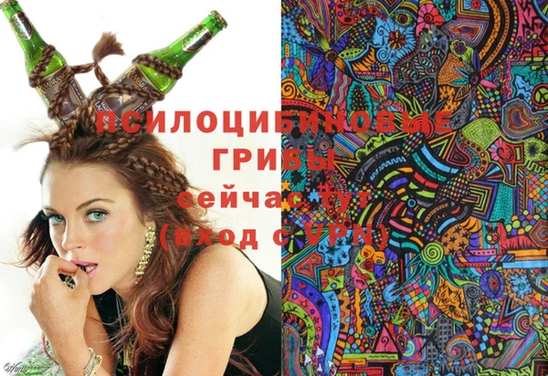 твердый Алзамай