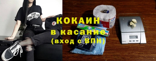 твердый Алзамай